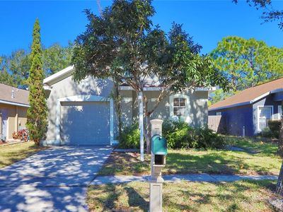7461 Oxford Garden Cir, Apollo Beach, FL, 33572