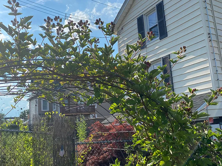 35 Edwards St — Photo 29