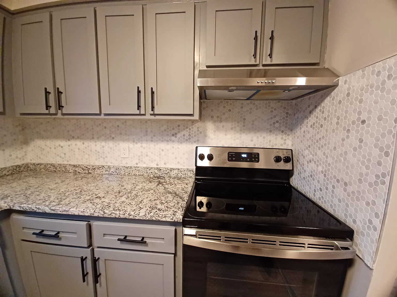 1 bed, 650 sqft, $1,600 — Photo 4