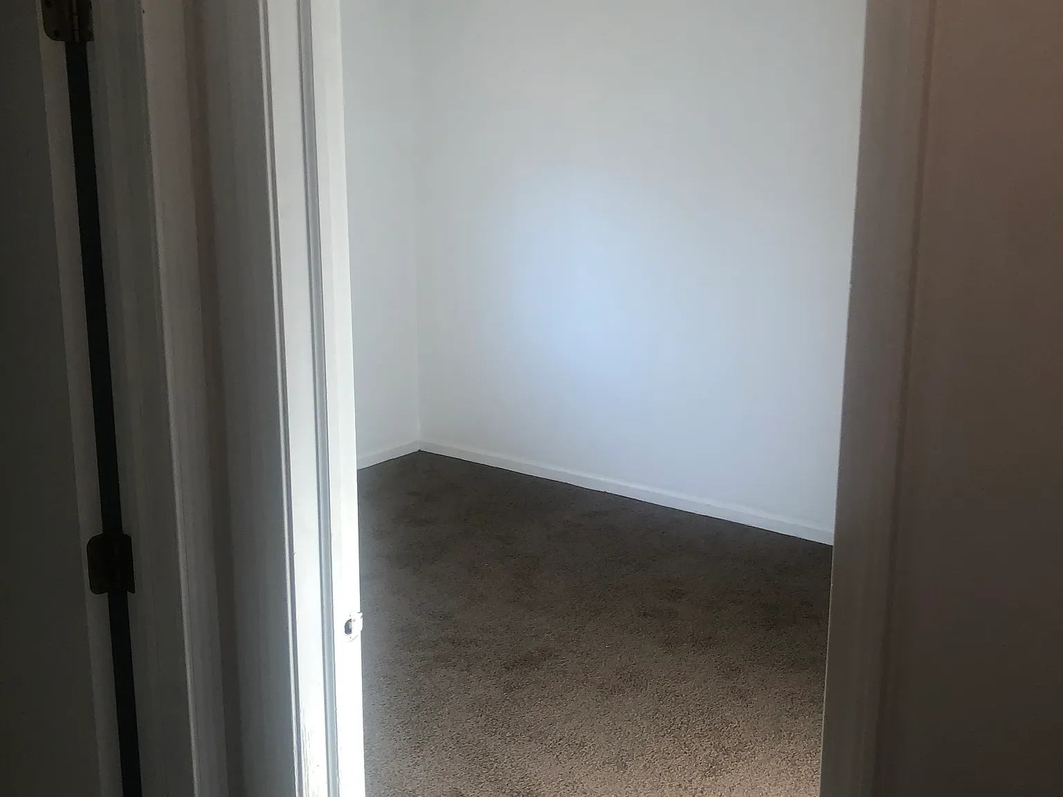 2 bed, 1100 sqft, $1,450 — Photo 3