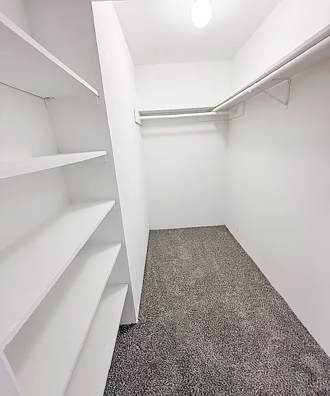 Shelves in Walk In Closets