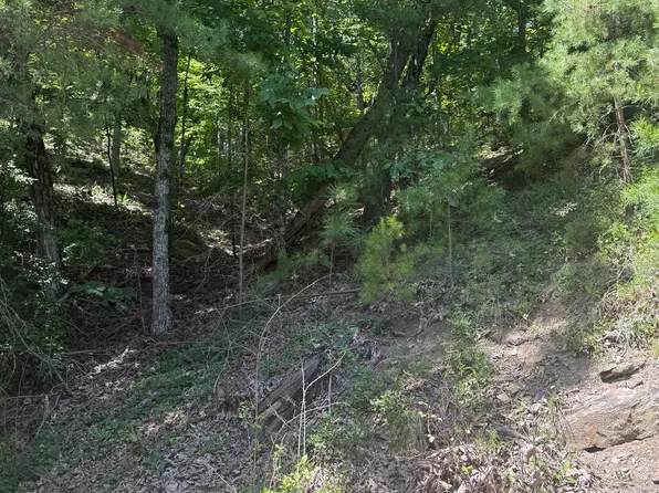 347 Meteor Ct, Ranger, GA 30734