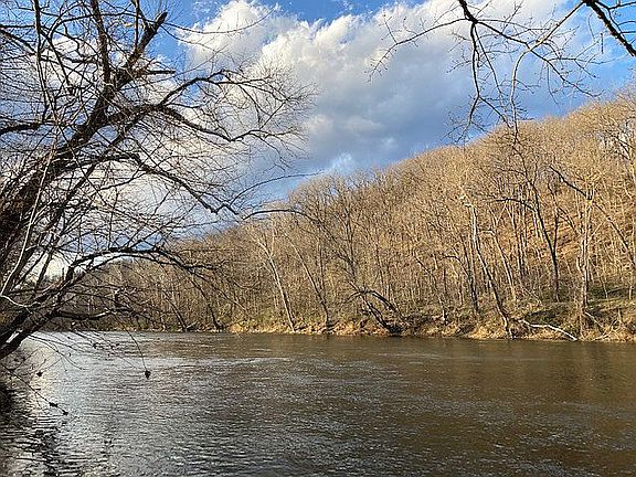 The Shenandoah from Backyard