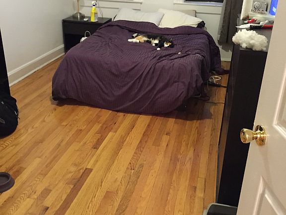 4th image of 4112 41st St APT 2F