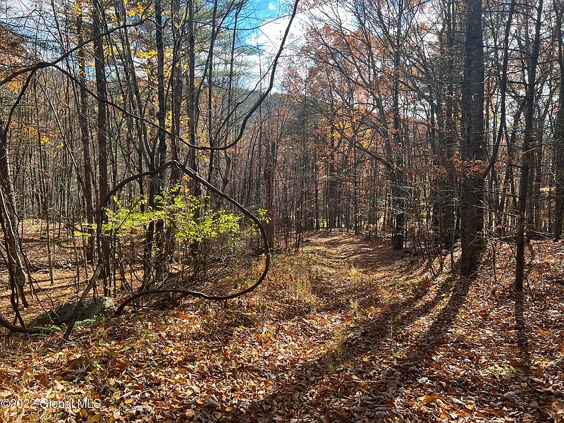 2nd image of L26 Brownell Hollow Rd