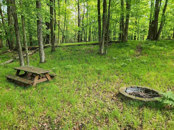 LOT 960 Clover Ter, Farwell, MI 48622