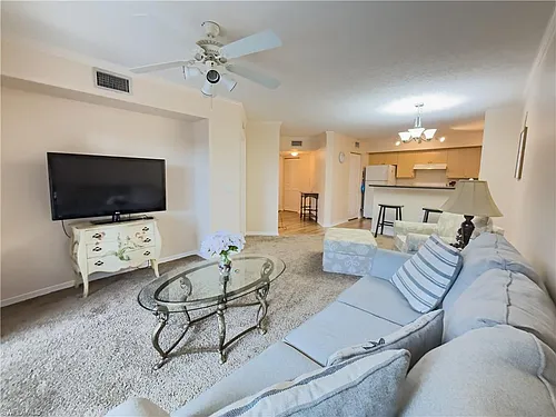 8754 River Homes Ln #8203 Photo 1