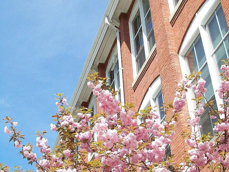 Spark Millbury — Photo 15