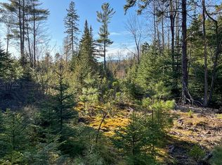 0 Cold Brook Rd, Vermontville, NY 12989