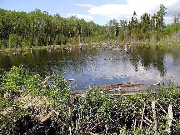 west beaver pond