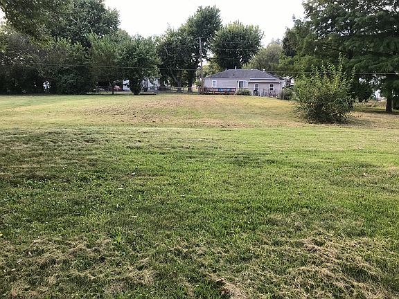 Back yard - view from house