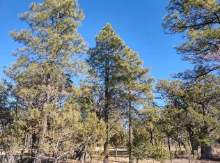 4992 Starlight Dr, Happy Jack, AZ 86024