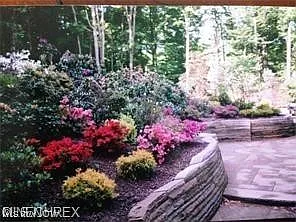 10613 Sherman Rd — Photo 3