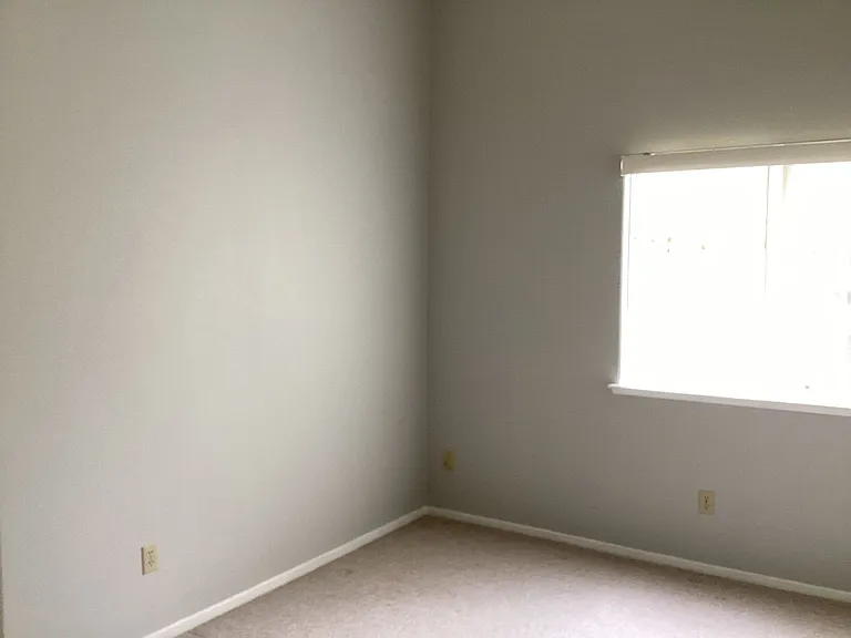 4521 Glimmer Ln — Photo 10