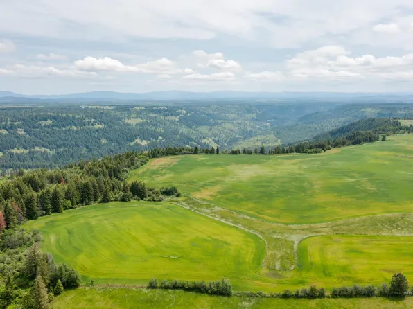 Green Rd, Orofino, ID 83544