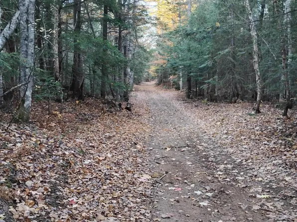V/l 20ac W Verns Rd, Paradise, MI 49768