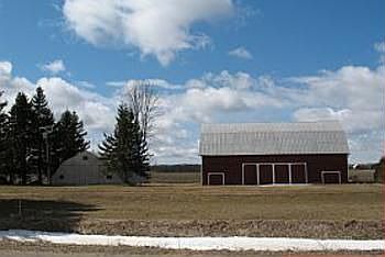 Here you see the large vacant yard area in front of the machine shed and barn, this area is where th