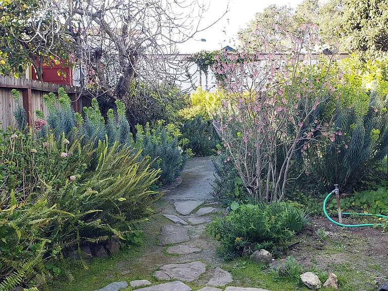 5913 Chabot Rd — Photo 19
