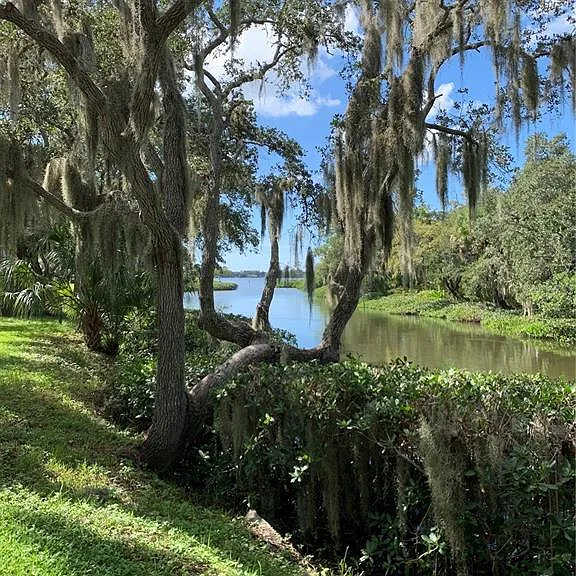 Pelican Cove Rd — Photo 18