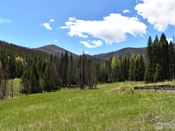 4059 Forest Road 129, Bellvue, CO 80512
