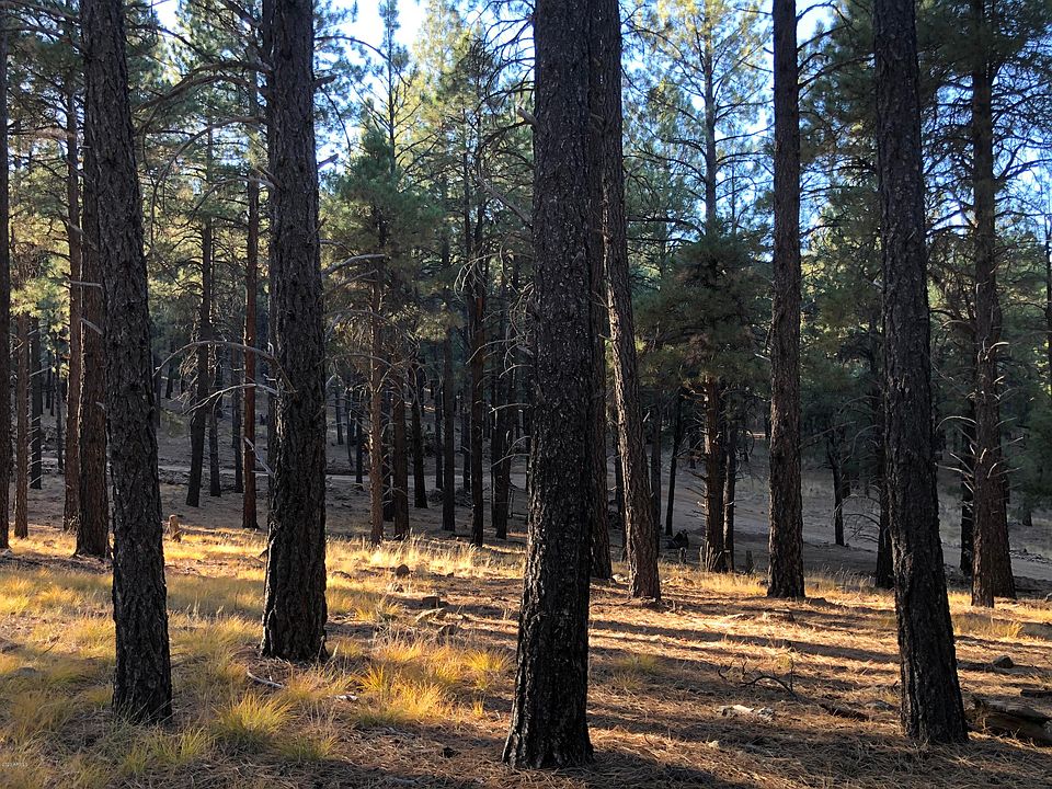 2nd image of 0 Coyote Pass Rd -- #B