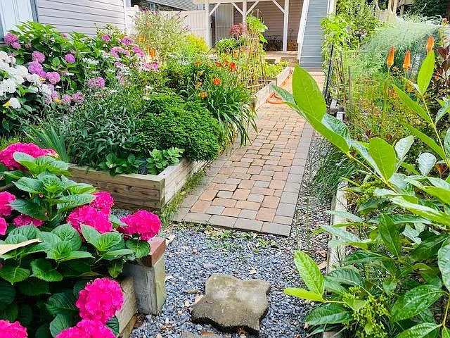 backyard view from entry/ patio (taken July 2021)