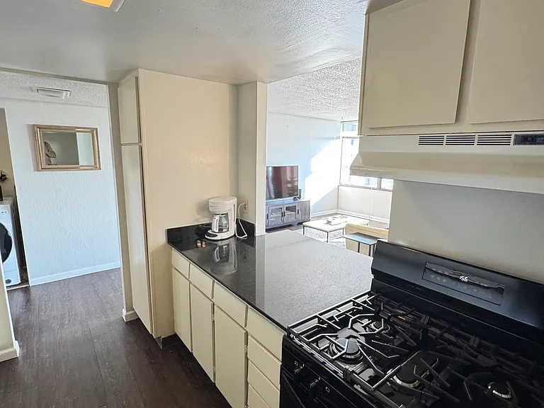 450 W 7th St #907 — Photo 6
