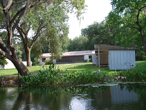 Back Yard From Haines Creek