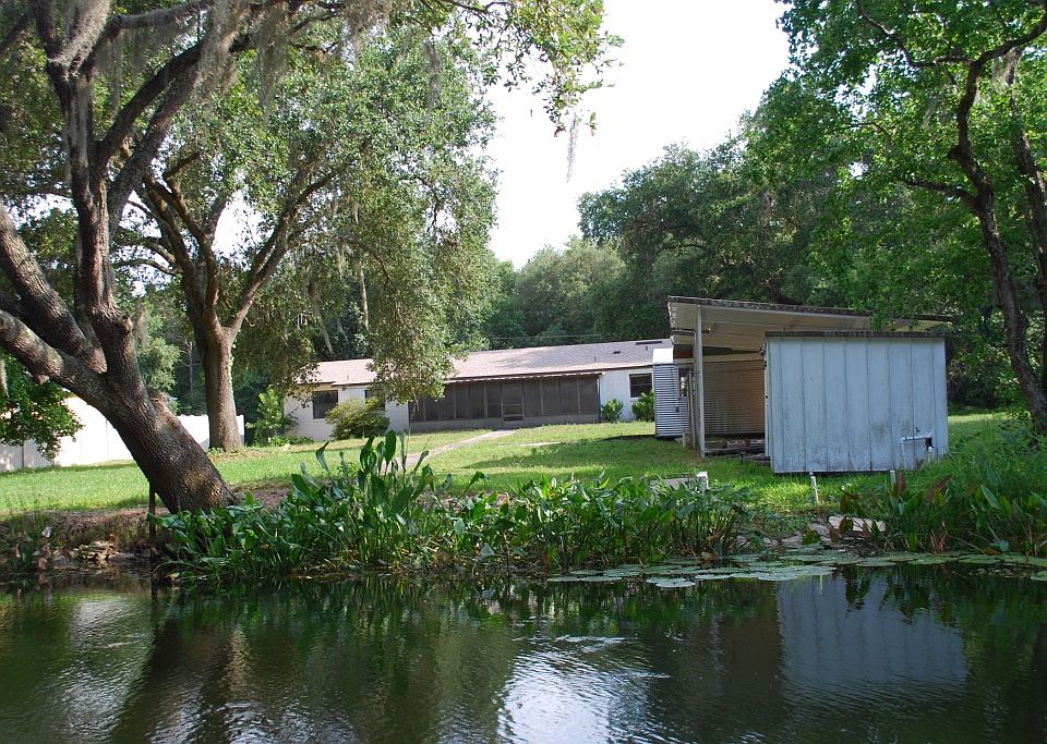 Back Yard From Haines Creek