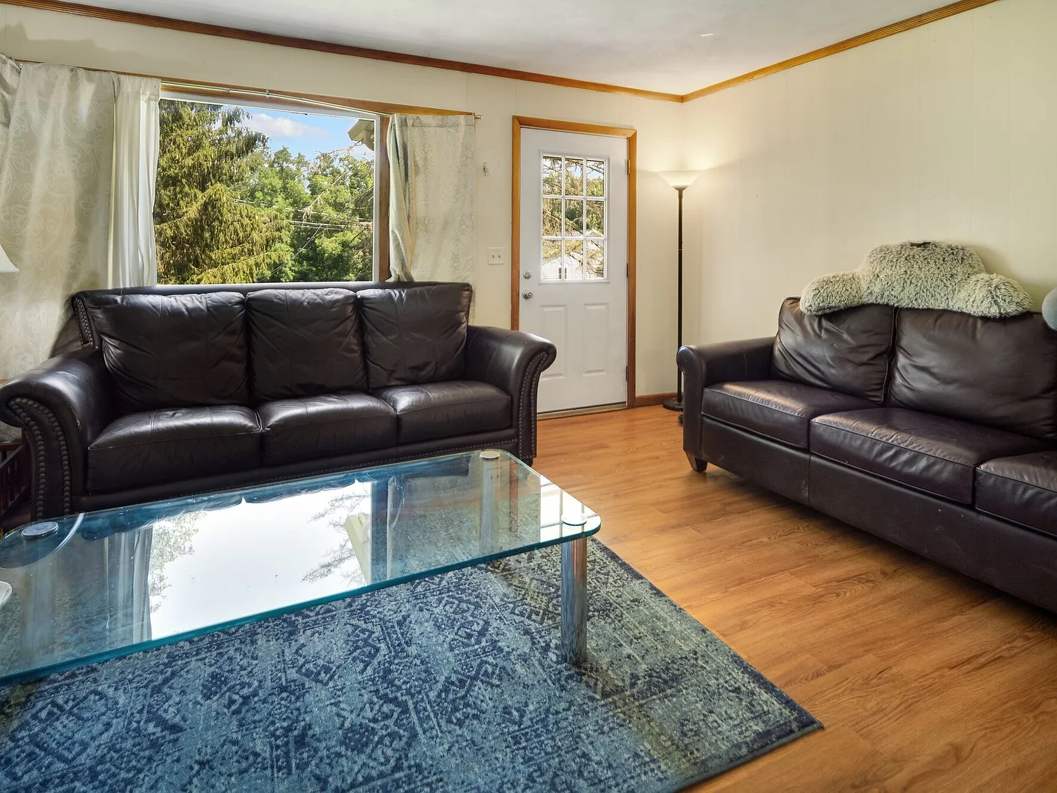 South Hill- Kendall Ave 4-6 Bedroom Duplex — Photo 3