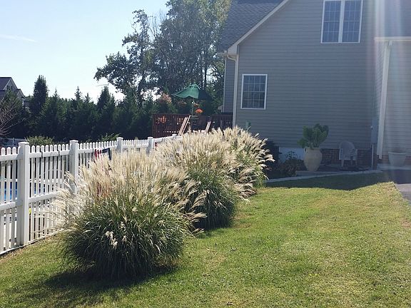 5th image of 1423 Donavon Mill Ln
