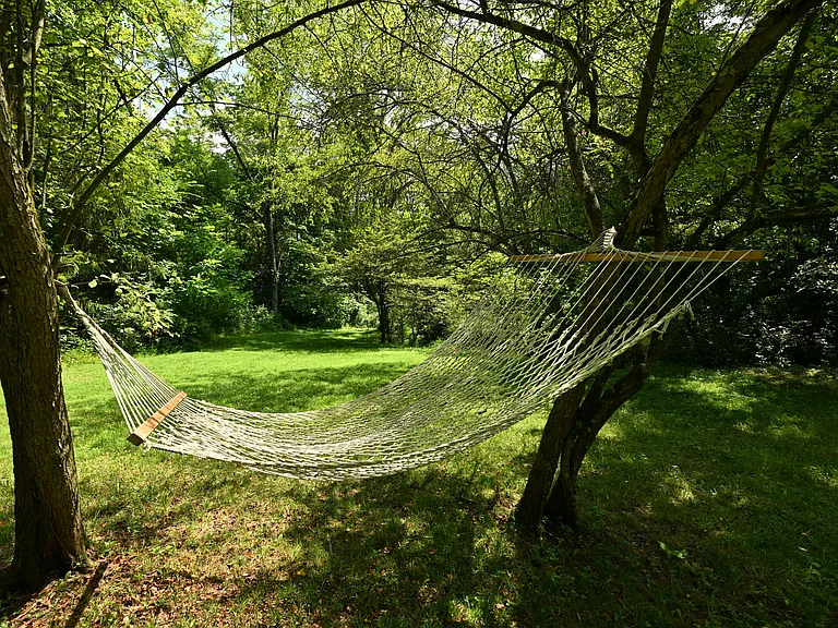 Relaxing hammock in "Blitzen's Field of Dreams" (our dog!). Right by the stream. If our 3.5 acres isn't enough for you, the 411 acre Bath Nature Preserve is next door. Plus a few miles away the Cuyahoga Valley Nat'l Park has 32,783 acres to hike or bike.