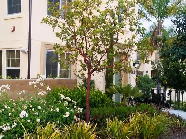 1818 Casa Morro St, Chula Vista, CA