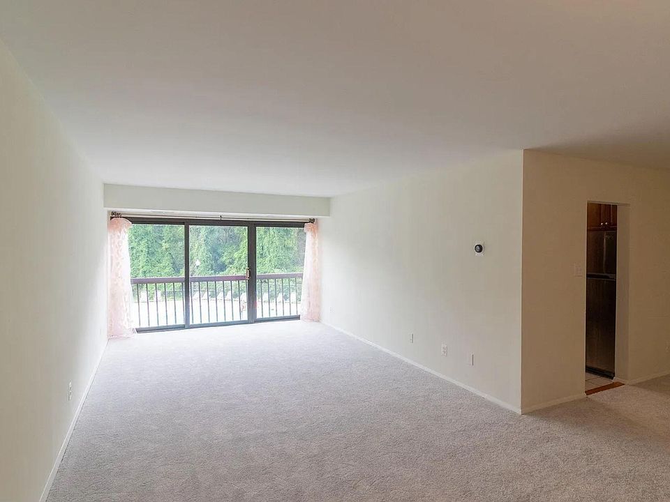 Living room with wall-to-wall french windows looking out the pool and the forest