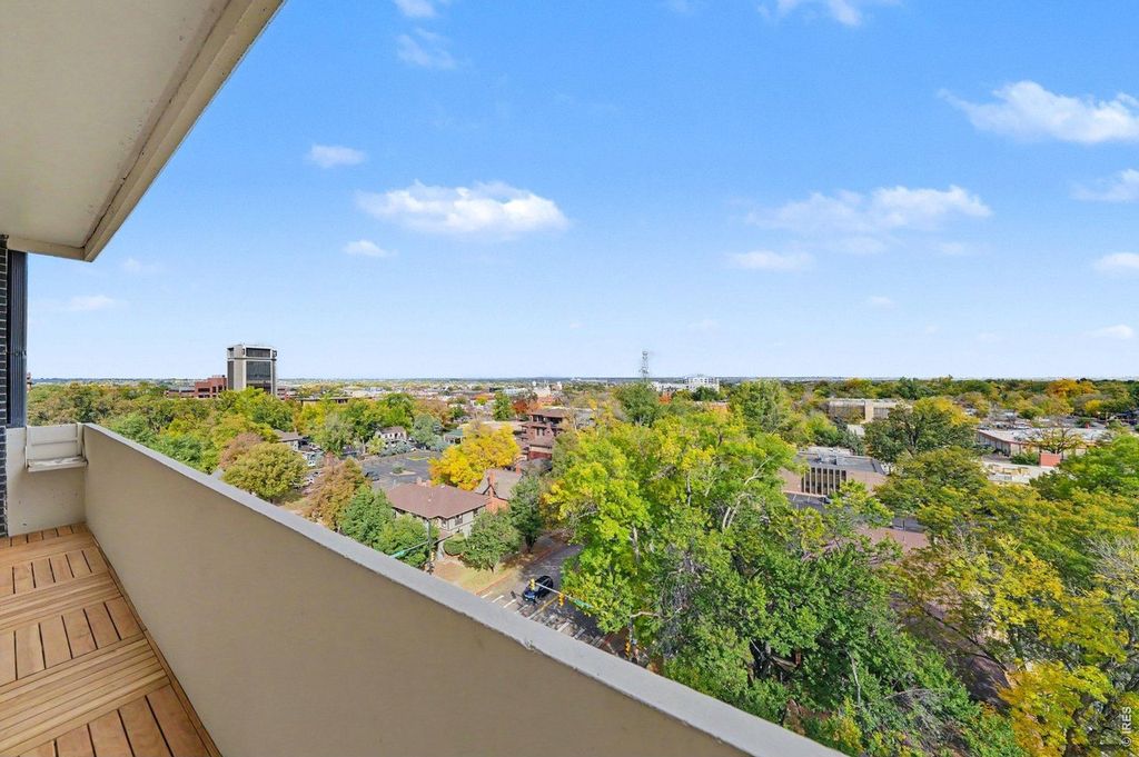 415 S Howes St #1001
