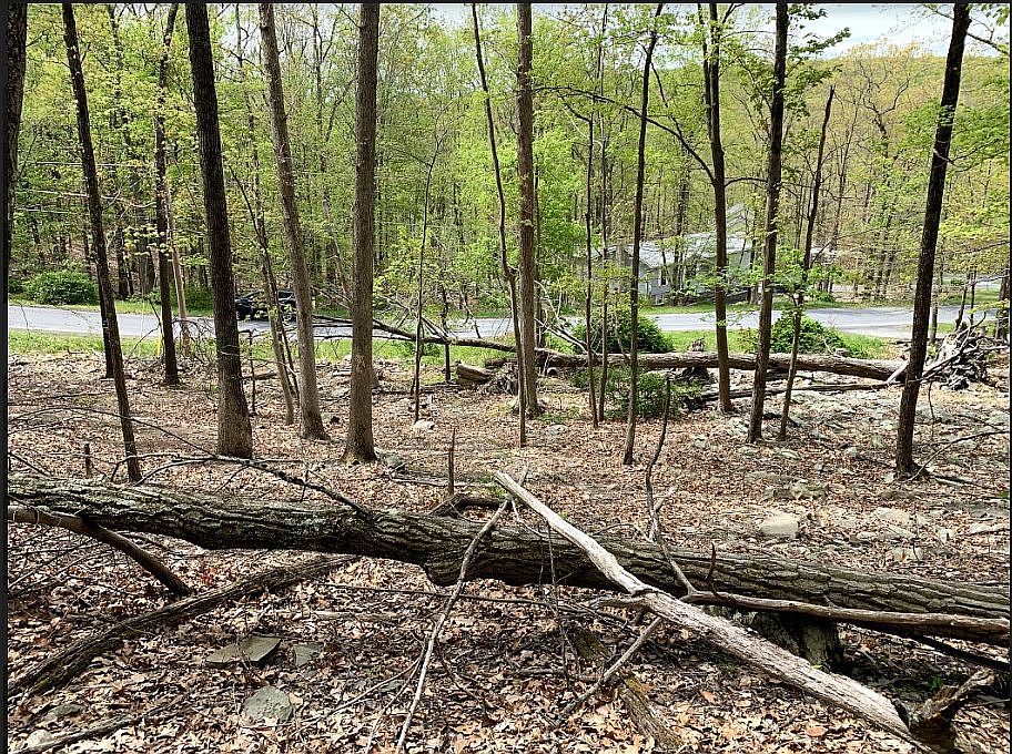 2nd image of Radcliff Rd