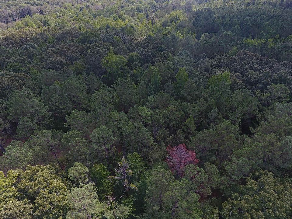 6 Bullman Rd TRACT 6, Finger, TN 38334 Zillow