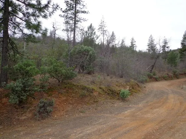 Backbone Rd, Bella Vista, CA 96008