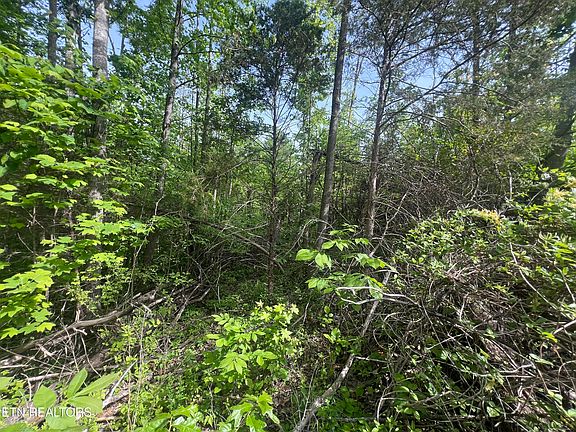 4th image of Big Hollow Rd