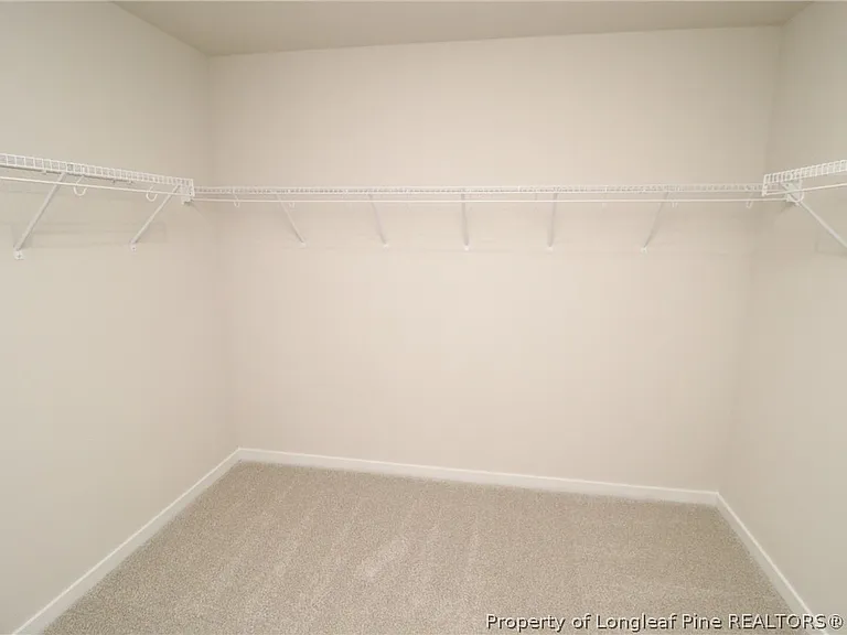 4129 Hazel Branch Way — Photo 30