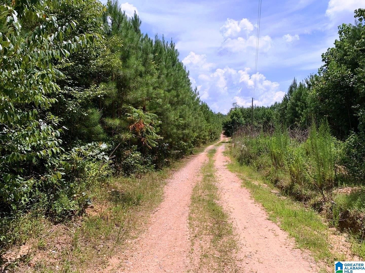 County Road 214, Fruithurst, AL 36262 MLS 1353720 Zillow