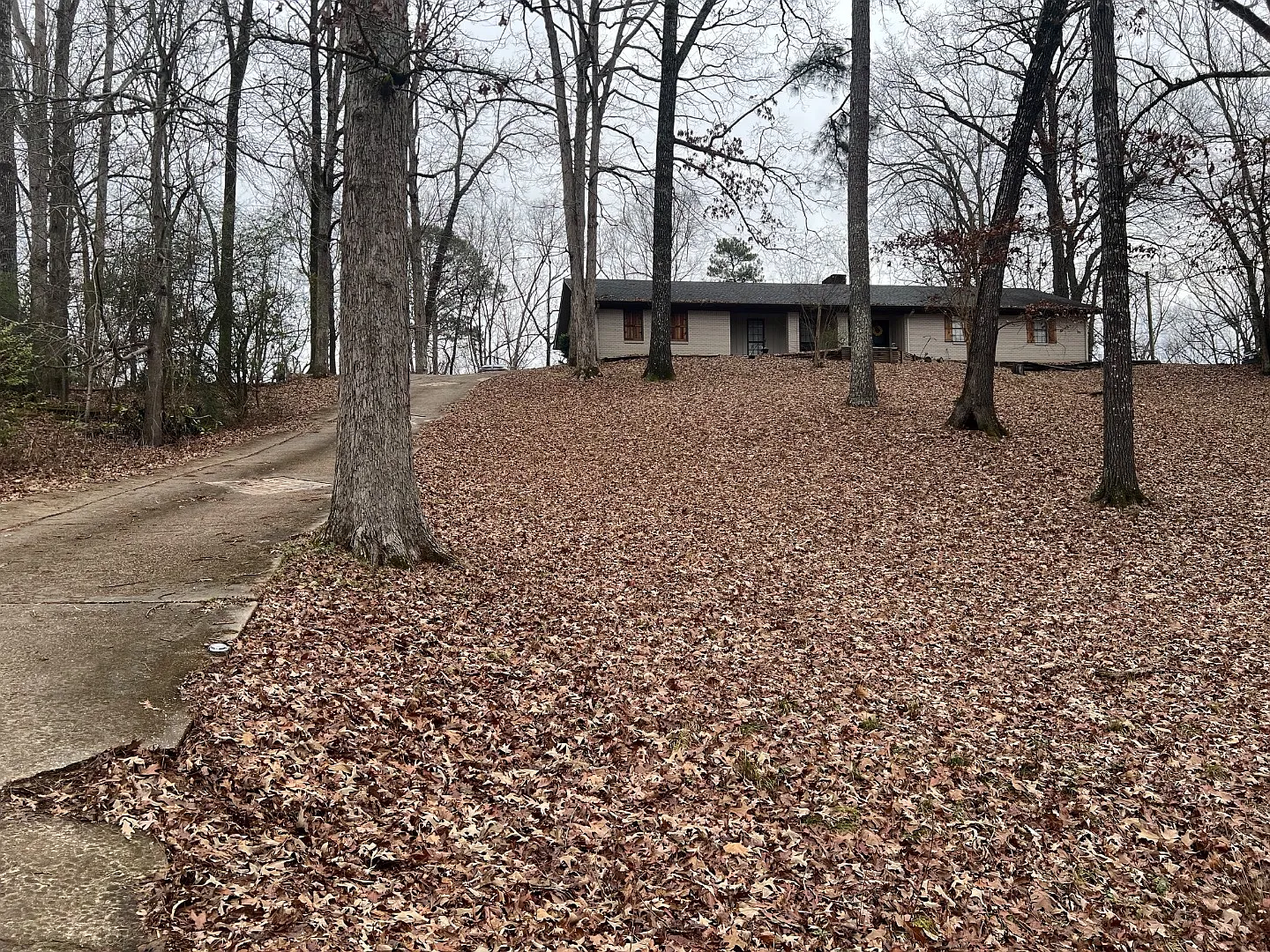 315 Dogwood Blvd — Photo 3
