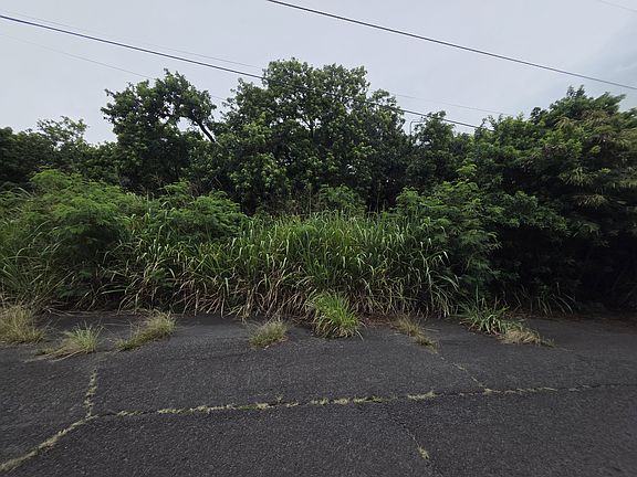 4th image of Mauka St Lot 20