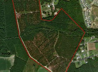 1014 Sioux Swamp Dr, Conway, SC 29527