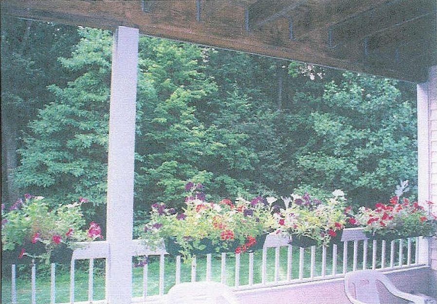 Deck w/view of woods