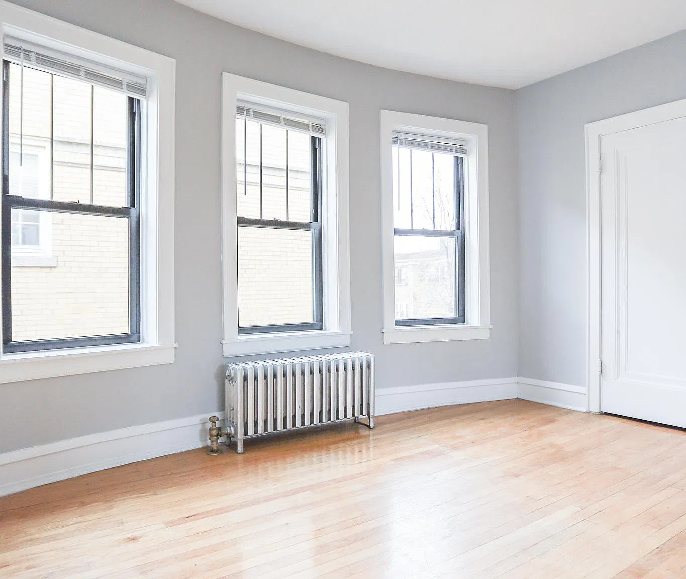 1 bed, 650 sqft, $1,550 — Photo 3