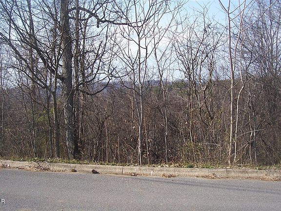 3rd image of LOT 142 Low Valley Rd