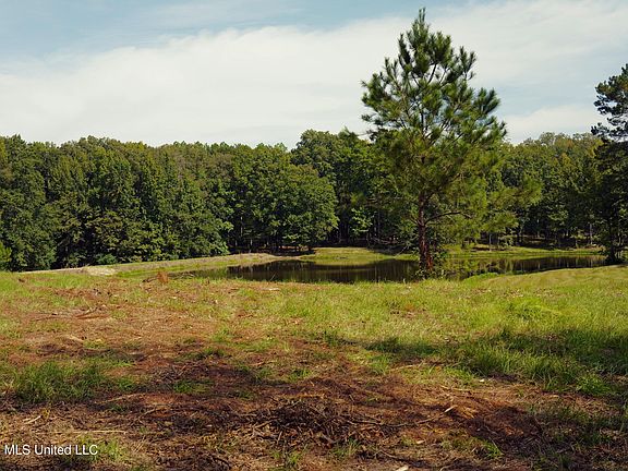 4th image of 0 Ratliff Rd
