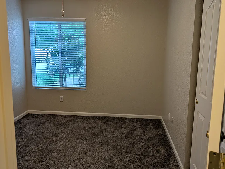 3604 Stingy Ln — Photo 10