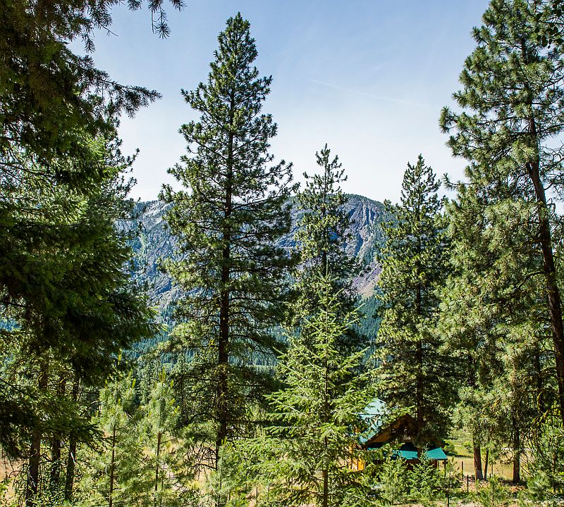 1st image of 9 Quaking Aspen Dr